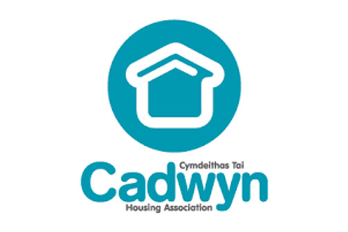Cadwyn